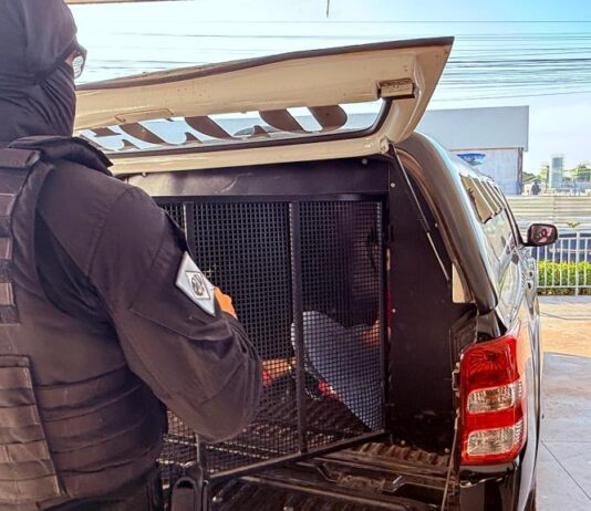 Investimentos e inteligência: Polícia Civil mira faccionados foragidos em outros Estados e países