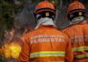 Corpo de Bombeiros combate três incêndios florestais no feriado do dia 12