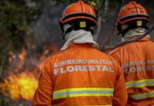 Corpo de Bombeiros combate três incêndios florestais no feriado do dia 12