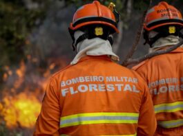 Corpo de Bombeiros combate três incêndios florestais no feriado do dia 12