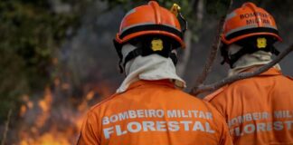 Corpo de Bombeiros combate três incêndios florestais no feriado do dia 12